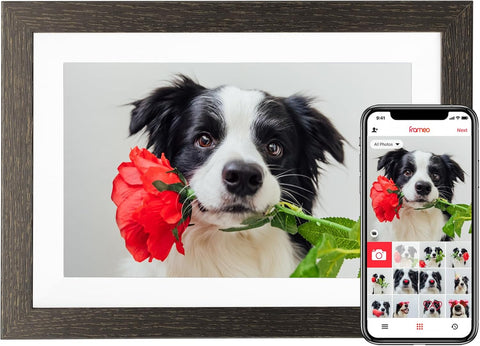 BIHIWOIA 10.1" Frameo Digital Picture Frame